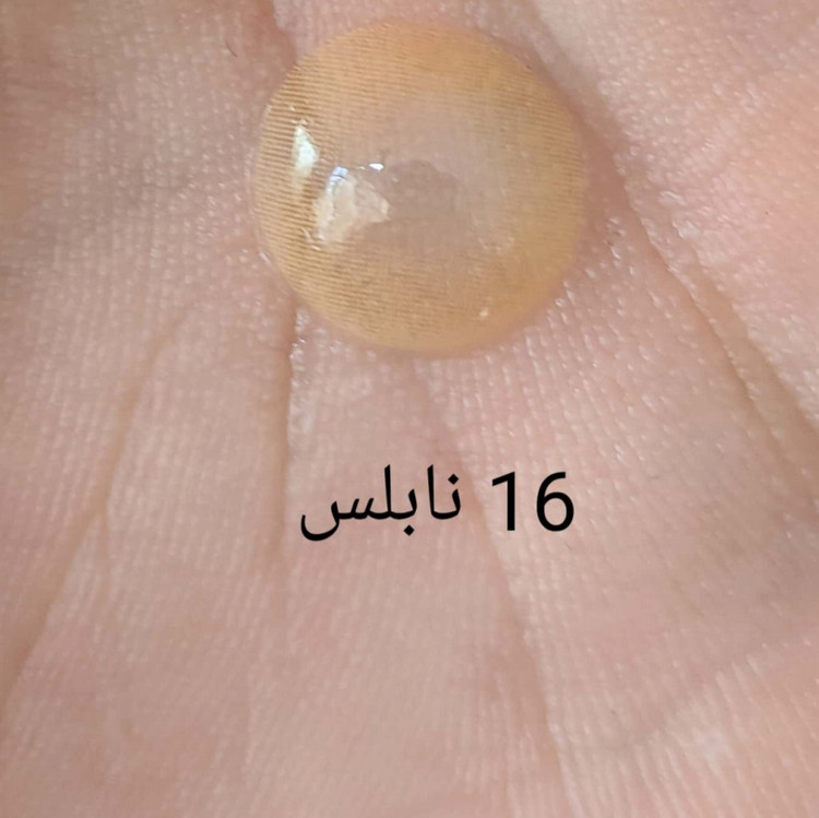 لنز رنگی نابلس فصلی 100 ساعته، شماره16 مدل COLEN