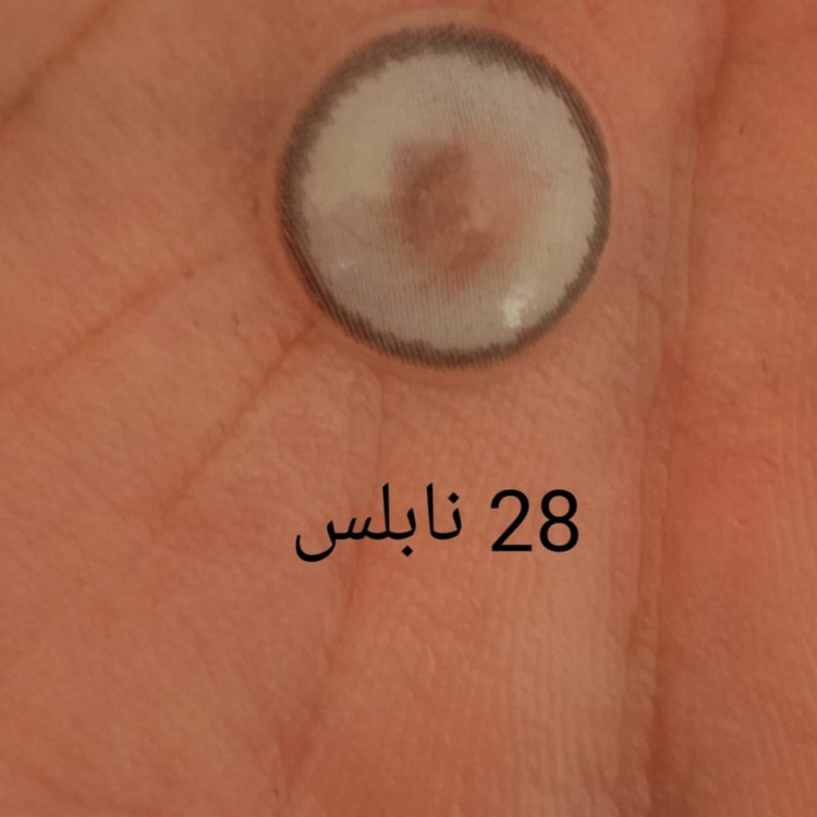 لنز رنگی نابلس فصلی 100 ساعته، شماره 28 مدل COLEN