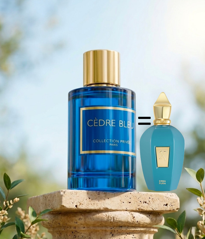 عطر و ادکلن سدر بلو